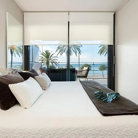 Delfin Cambrils